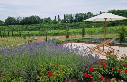 Relais Ca' Morenica - Foto 59