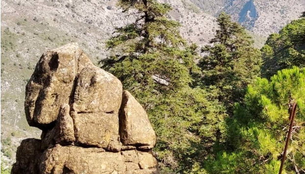 Senderismo por la Sierra de las Nieves - Foto 4, Explorando la Sierra de las Nieves