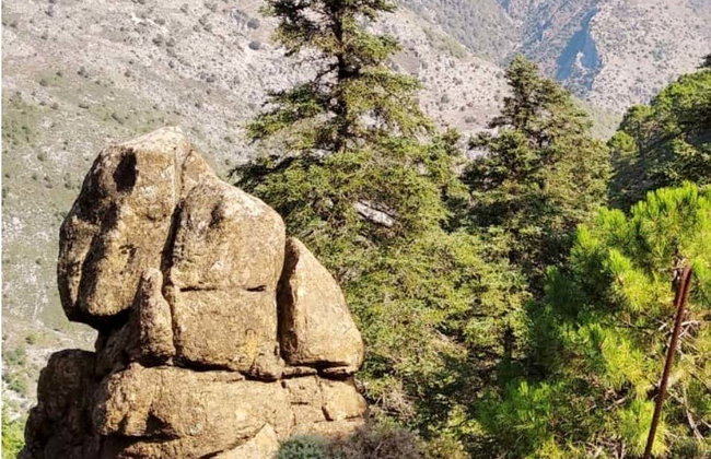 Senderismo por la Sierra de las Nieves - Foto 4