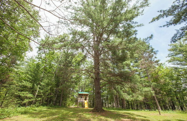 Our Wielgot Tradition - Photo 13