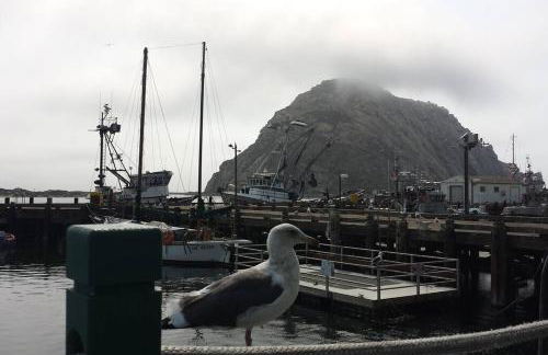 Harbor House in Morro Bay - Foto 8