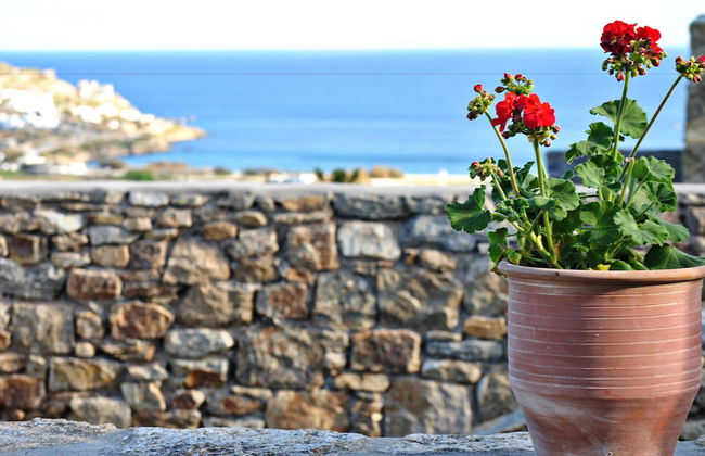 Livadi House Mykonos - Foto 20