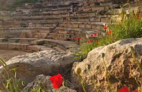 Gardenia Sun & Pool - Foto 44