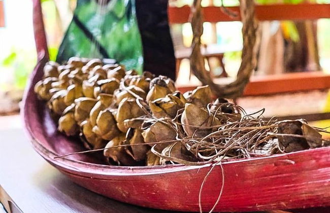 Pousada Pouso das Araras - Foto 49