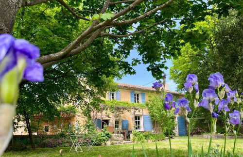 Mas provençal, entre vignes et oliviers - Foto 1