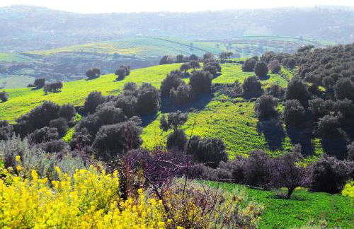 Agriturismo Giannavi - Foto 57