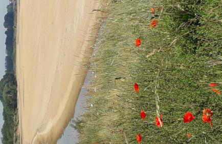 La petite Hugrie - Photo 46