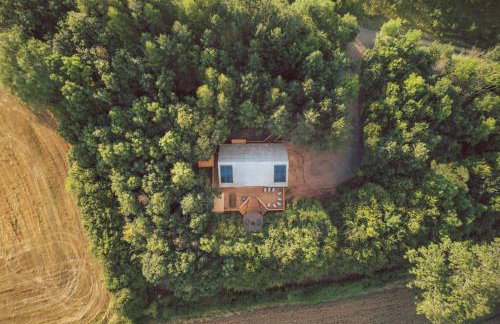 Journeyman - Photo 1