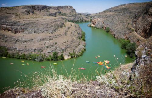 Apartamentos Duratón - Photo 51