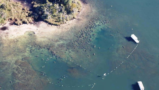 Vista aerea del Crystal River