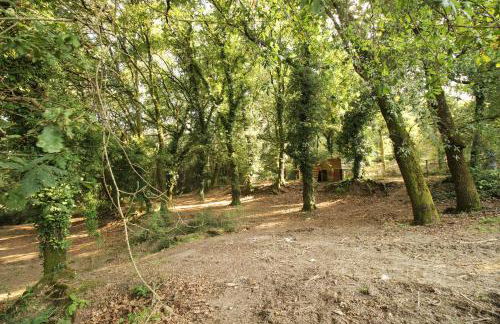 Quinta d'Areda Wine&Pool Experience - Foto 27