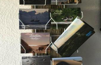 Hüs Sanskiin Ferienwohnung *Driiwholt* - Foto 25