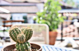 Il Vecchio Comune - Foto 68