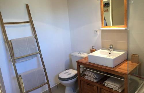 MAS DES VIGNES - View Cité de Carcassonne - Foto 19