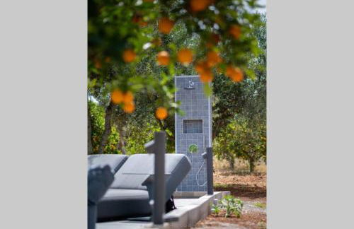 Orange Tree - Foto 30