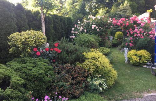 Domek i Apartamenty Zacisze - Foto 57