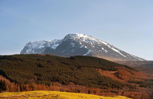 Tower Ridge Courtyard - Photo 1