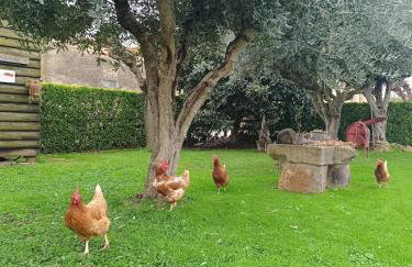 Can Pujol - Casitas de Turismo Rural en el Baix Empordà - Foto 32