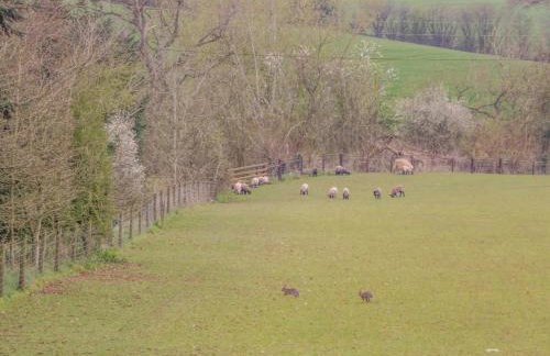 Orchard House - Photo 34