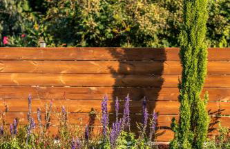 Redstone Luxury Villas - Foto 9