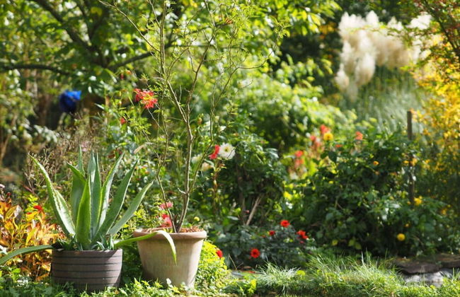 Linden Leaf" Left Comfortable Vacation Home - Foto 13