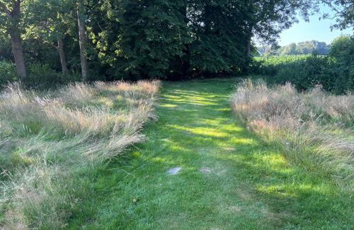 Gasthaus zur Grenze - Foto 18