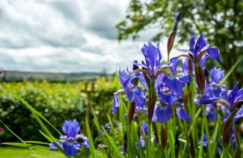 2 Bed in Aberedw BN201 - Foto 32