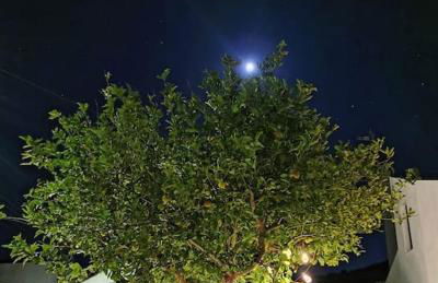 Casadasfurnazinhas - Foto 27