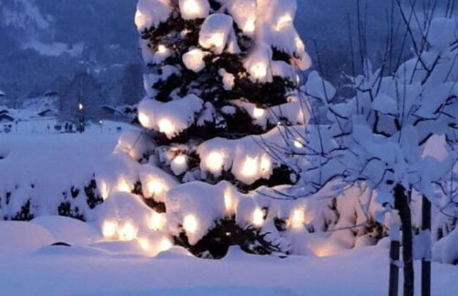 Kehlstein - Reich Family - Foto 17