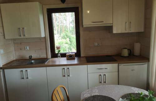 Domek pod lasem podlaskie - Foto 31