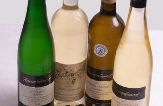 Ferienwohnung Riesling - Foto 21