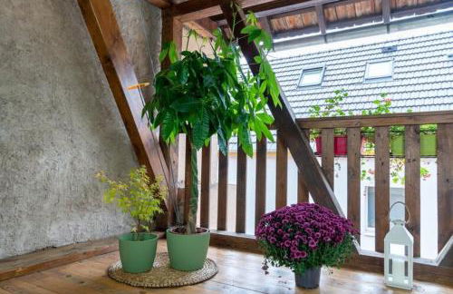Feng Shui apartment in small farmhouse - Foto 27