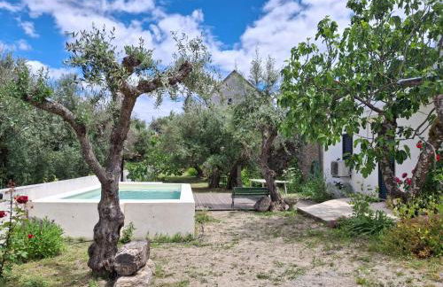 Casa rústica com terraço e jardim - Foto 27