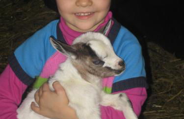 Agriturismo Il Casale - Foto 42