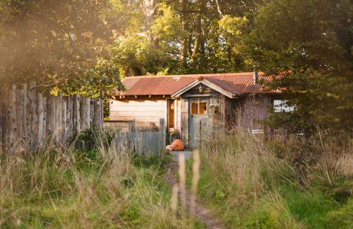 The Boatshed at Camp Plas - Photo 1