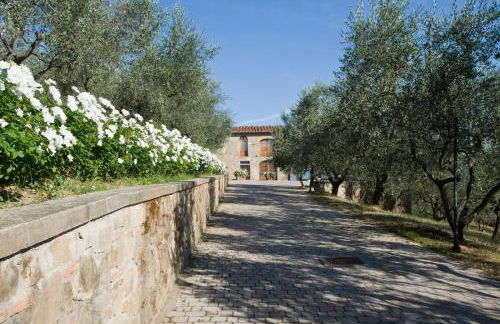 Poggio di San Biagio - Foto 6