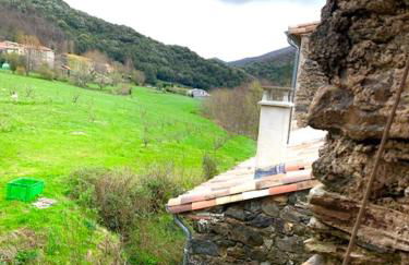 Grande maison cévenole authentique - Foto 18