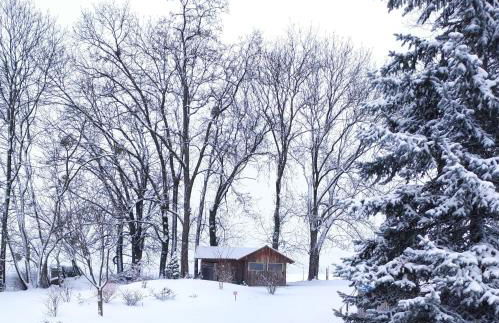 Gite Arthur et Germaine Maisonnette à la campagne avec un grand jardin - Foto 8
