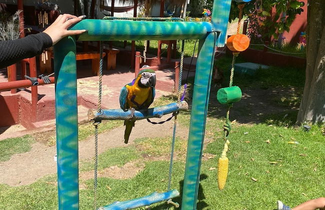 Parcela Los Nonos - Foto 12