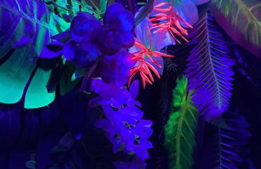 Serengeti Safari Room - Foto 56