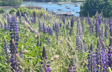 Trade Winds on the Bay - Foto 84