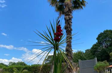 Appartement calme entre Côte Basque et Landes - Foto 20