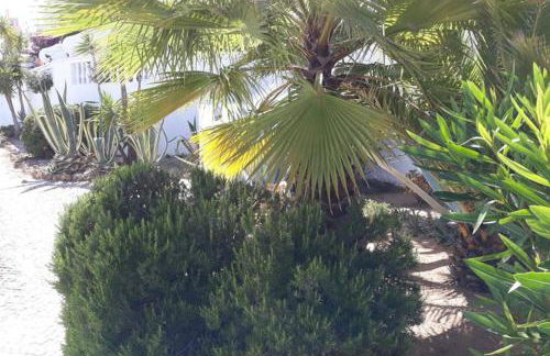 Casa do Limoeiro - Foto 35