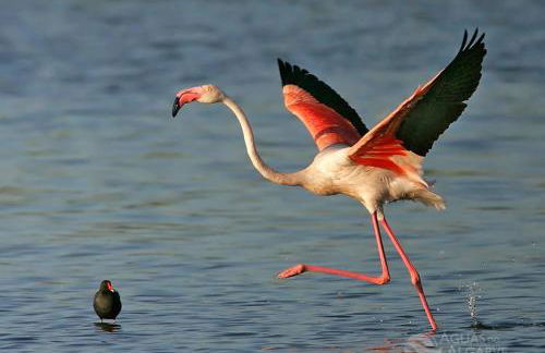 Silvaapartments - Foto 66