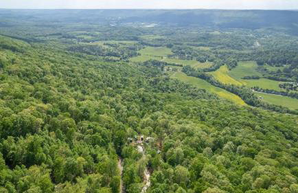 The Lumber Jack Pine Treehouse at Treetop Escapes - Foto 45
