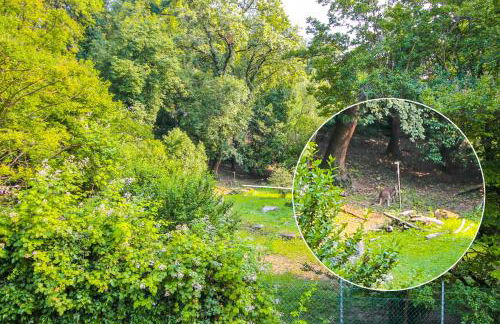 Lake & Country Holidays - Foto 49