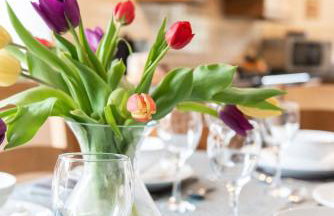 Penuwch Fach - Foto 15