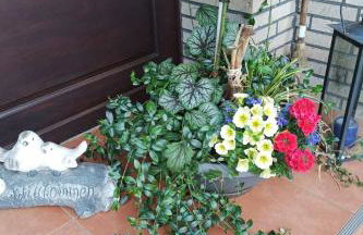 Apartment Zwei Finken in Wiesmoor by Interhome - Foto 3