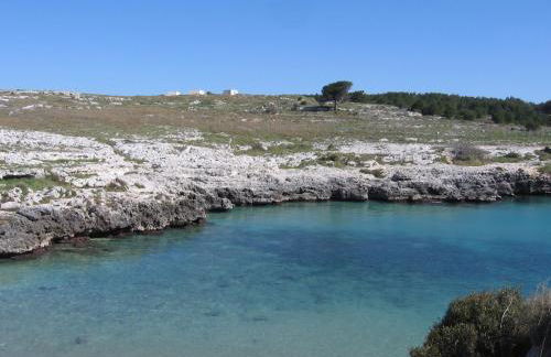 Casa Adelina - Foto 42