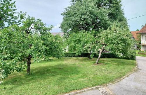 Apartma Laganini - Foto 17